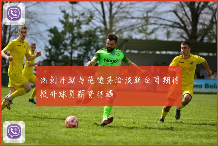 热刺计划与范德芬洽谈新合同期待提升球员薪资待遇