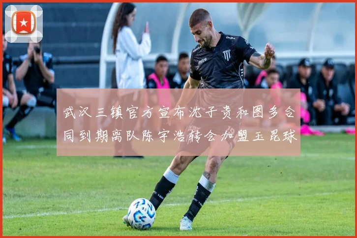 武汉三镇官方宣布沈子贵和图多合同到期离队陈宇浩转会加盟玉昆球队