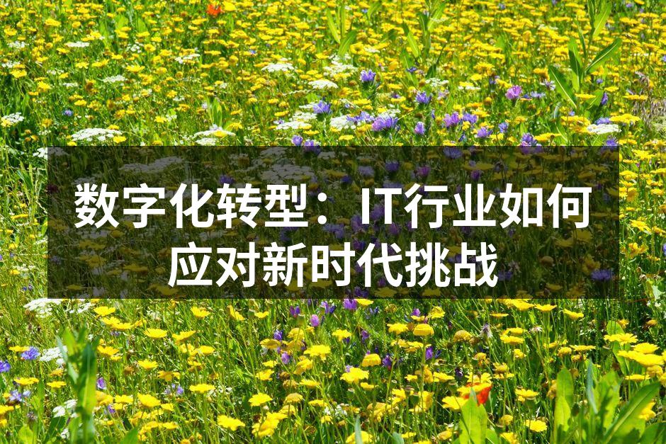 数字化转型:IT行业如何应对新时代挑战